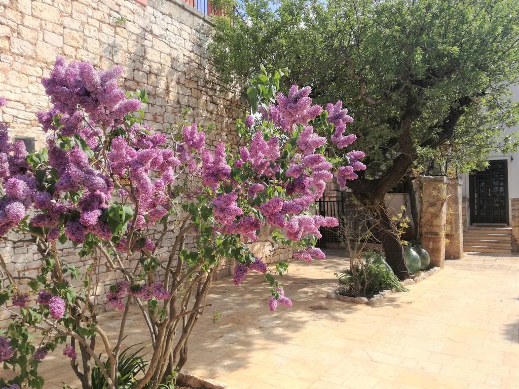 Casina Dei Preti Villa Conversano Ngoại thất bức ảnh